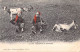 FOLKLORE - Paysannes De Champéry - Chèvres - Carte Postale Ancienne - Autres & Non Classés