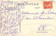 FOLKLORE - Paysannes De Champéry - Chèvres - Carte Postale Ancienne - Other & Unclassified