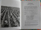 La France à Table N° 114. 1965. Marne. Chalons L'épine Reims Chatillon Hautvillers Vertus Sézanne Vitry Ay. Gastronomie - Tourisme & Régions