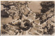 AK Fallingbostel - Fliegeraufnahme - 1938 (63831) - Fallingbostel
