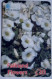 Falkland Islands £20 Prepaid "  Scurvy Grass " ( Flower ) - Falkland