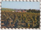 6AI3924 JULIENAS EN BEAUJOLAIS LA COOPERATIVE ET VUE D'ENSEMBLE SUR LES VIGNOBLES  2 Scans - Julienas