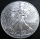 Stati Uniti D'America - 1 Dollaro 2001 - Aquila Americana - KM# 273 - Unclassified