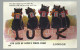 ***  1  X  LOUIS  WAIN  ***   -  .... And Lots Of Lovely Views From LONDON  ! ! ! !   -  ZIE / VOIR / SEE SCAN'S - Wain, Louis