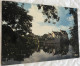 23 Chatelus Malvaleix 1975 Etang Du Chateau Maisons  Reflets Vegetation-ed Iris 1 - Chatelus Malvaleix