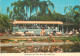 Postcard United States > CA - California > San Diego Zoo Flamingos - San Diego