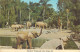 Postcard United States > CA - California > San Diego Zoo Elephant Compound - San Diego