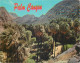 Postcard United States > CA - California > Palm Springs Palm Canyon - Palm Springs