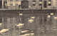 BELGIQUE - Brugge - Quai Long Et Cygnes - Carte Postale Ancienne - Brugge