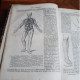 Delcampe - Gesundheit Lexikon Von Dr. Ruff 1882 Illustré Relié Cuir Très Bon état Selon Photos (cs) - Dictionnaires