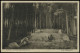 (B3388) AK Sachsenwald - Das Riesenbett, SCHWARZENBEK 1935 - Schwarzenbeck