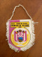 Fanion Football R.S.C. Anderlecht Champion De Belgique 1981 - Vintage - Kleding, Souvenirs & Andere