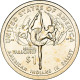 Monnaie, États-Unis, Dollar, 2023, Denver, Native American Dollar" American - Commemoratifs