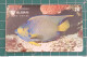 BRAZIL PHONECARD FISH - Brasilien