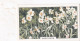 1 Narcissus  - Garden Flowers 1938 - Gallaher Cigarette Card - Original - - Gallaher