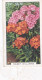 35 Sweet William  - Garden Flowers 1938 - Gallaher Cigarette Card - Original - - Gallaher