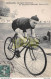 WIELERSPORT CICLISMO CYCLING GUUS SCHILLING ▬ CHAMPION HOLLANDAIS SUR BICYCLETTE PEUGEOT, PNEUS LION ▬ 1909 - Cyclisme