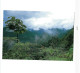 Braulio Carrillo National Park. - Costa Rica