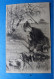 Patrijzen Jacht Chasse Hunting Setter Illustrateur P.F. -edit S.B. Vienna Early 20 Ctr - Chasse