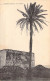 MAROC - Kasbah-Tadla - Le Palmier - Carte Postale Ancienne - Otros & Sin Clasificación