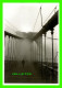 NEW YORK CITY, NY - BROOKLYN BRIDGE, 1929 - PAUL GROTZ, 1902-1990 - THE METROPOLITAN MUSEUM OF ART - - Musées