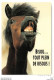 CPM HUMOUR COMIC " BISOU... TOUT PLEIN DE BISOUS ! " # CHEVAL # HORSE #  PFERD # CAVALLO # PHOTO WISNIEWSKI-ZEFA - Chevaux