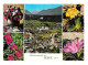 Austria Telfs Aerial View Alpenblumen Tirol Alps Flowers Multiview 4X6 Postcard - Telfs