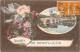 FRANCE - 03 - MONTLUCON - Amitiés De ... - Fleurs - Colorisée - Carte Postale Ancienne - Montlucon