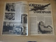 Delcampe - 1 Zeitschrift Der Adler Heft 8 Berlin 10 April 1941 - Police & Militaire