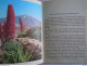 Delcampe - Tenerife Gids En Souvenir 1971 Tekst C.N. Perez Vertaald Uit Het Spaans - Pratique