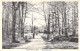 BELGIQUE - LANEUVILLE AU BOIS - Allée Du Rêve - Carte Postale Ancienne - Other & Unclassified