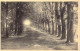 BELGIQUE - Tervueren - Le Parc - Allée Des Marronniers - Carte Postale Ancienne - Tervuren