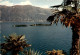 Isole Di Brissago (638) * 14. 8. 1957 - Brissago