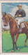 Hyperion - Champions 2nd Series 1935 - Gallaher Cigarette Card - Gallaher
