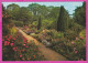 291180 / United Kingdom England Gloucester - Hidcote Manor Garden - The Old Rose Walk PC By J. Arthur Dixon  - Gloucester