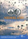 NIEDERLANDE NETHERLANDS 5 EURO 2010 SILBER PROOF #SET1091.22.D - Mint Sets & Proof Sets