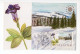 1983. YUGOSLAVIA,SERBIA,MAXIMUM CARD,NATURE PROTECTION EUROPE,NATIONAL PARK KOPAONIK,FLORA,GENTIANA KOCHIANA - Maximumkaarten