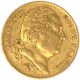 Louis XVIII-20 Francs 1822 Paris - 20 Francs (gold)