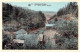 BELGIQUE - ROCHEHAUT FRAHAN - Le Vieux Moulin Boghet - Carte Postale Ancienne - Autres & Non Classés