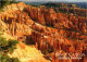 CPM Utah – Bryce Canyon – Queen's Garden USA (850467) - Bryce Canyon