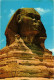 CPM Giza – The Head Of The Great Sphinx EGYPT (852559) - Sphinx