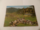 Postkaart Oostenrijk     ***  992  *** - Waidring