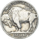 Monnaie, États-Unis, 5 Cents, 1936 - 1913-1938: Buffalo