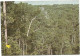 H3930 Manaus - Vista Panoramica Da Selva -  Nice Stamps Timbres Francobolli / Viaggiata 1990 - Manaus