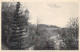 LUXEMBOURG - Vue Sur Pfaffenthal - Carte Postale Ancienne - Luxemburgo - Ciudad