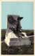 BELGIQUE - Waterloo - Monument élevé à La Mémoire Des Derniers Combattants De La Grande Armée - Carte Postale Ancienne - Waterloo