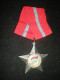 MEDAILLE DE SOLDAT DE LA LIBERATION DE SECONDE CLASSE - VIET NAM - Andere & Zonder Classificatie