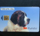 ► France :  Chien Saint-Bernard 3M Télécarte Cing - Chiens