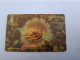 DOMINICA / $10,- GPT CARD / DOM - 9A  / ANEMONE       Fine Used Card  ** 13333 ** - Dominica