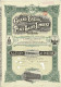 Titre De 1924 - Le Grand Bazar De La Place Saint-Lambert - Liège - - Textiel